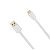 USB кабель Chainway (DC-H100-TypeC)