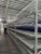 PTL‑модуль CK_Label_V41 PTL‑модуль CK_Label_V41